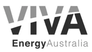Viva Grey